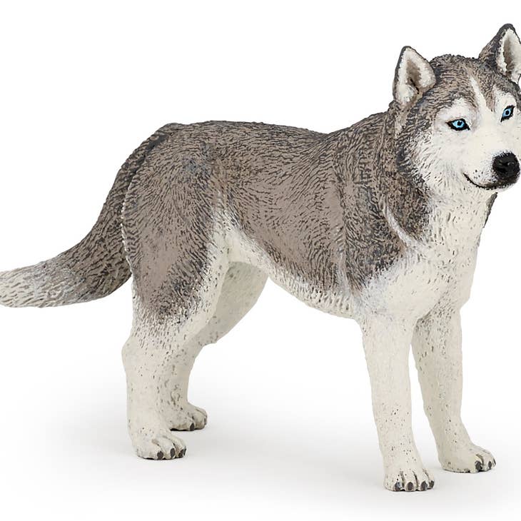 Husky toy best sale