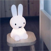 Miffy First Light