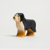 Bernese Mountain Dog