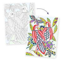 Colouring Gallery - Birds