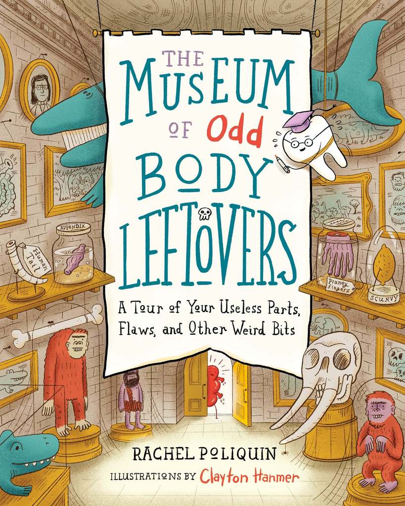 The Museum of Odd Body Leftovers