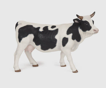 Black and White Cow