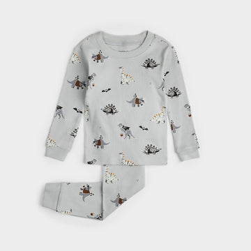 Dinoscaries Glow in the Dark on Lunar Grey PJ Set