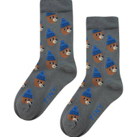 Bears Medium Socks