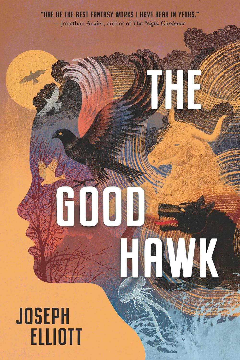 The Good Hawk (Shadow Skye Trilogy Book 1)